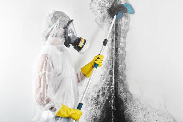 Mold Removal for HVAC Installations in Cascade Locks, OR