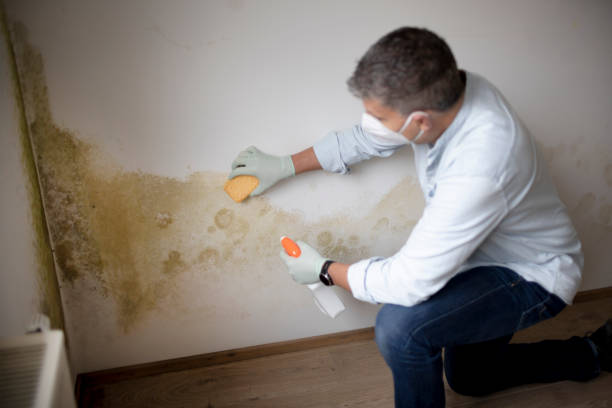 Best Post-Remediation Verification Testing  in Cascade Locks, OR